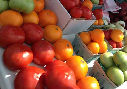 The Stanners - Steuben County Farmers Market - Angola, In